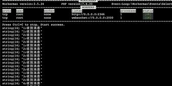 鱼刺私用WS客户端猎豹wifi发射软件官网-第2张图片-太平洋在线下载