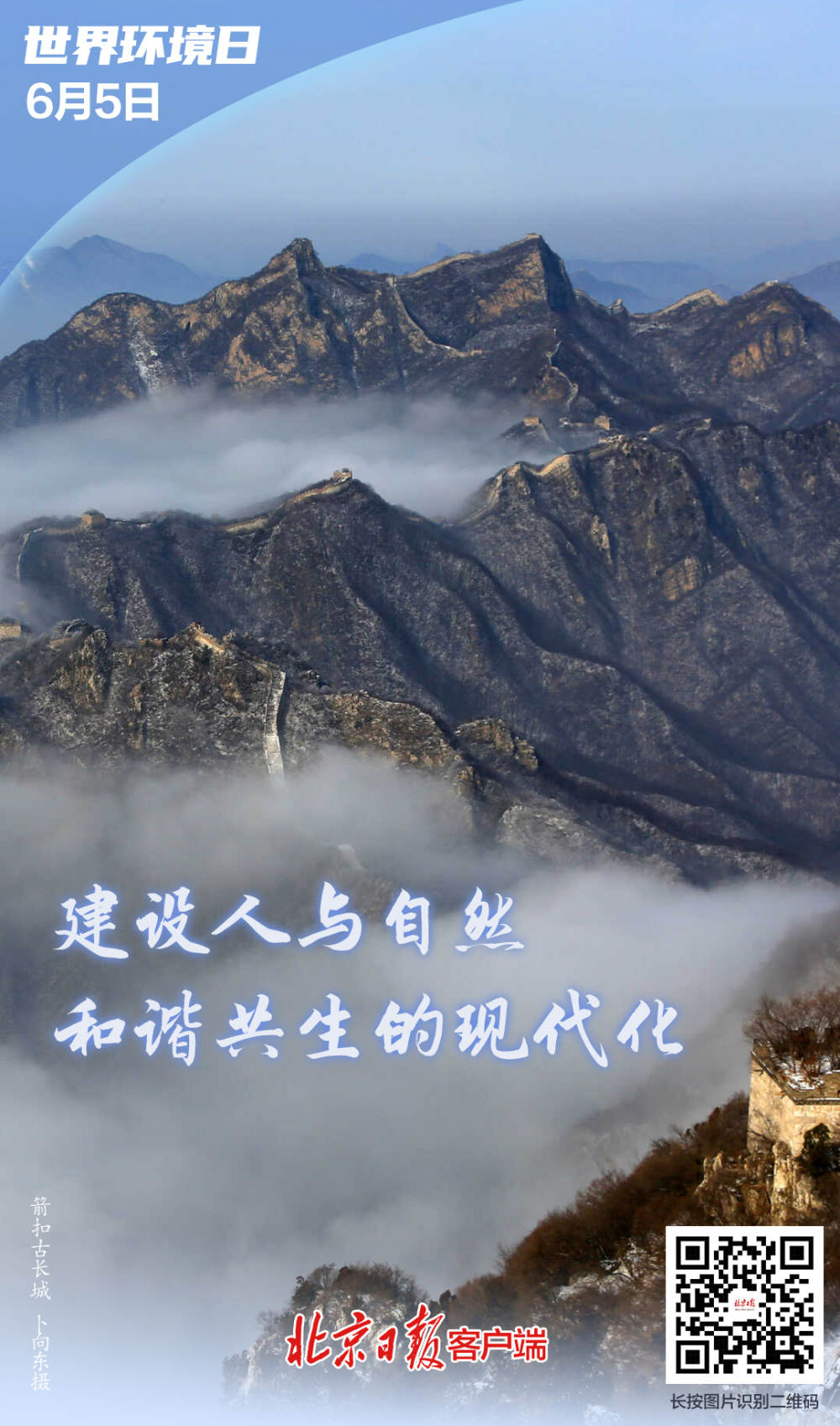 央视客户端人与自然看央视直播用什么app