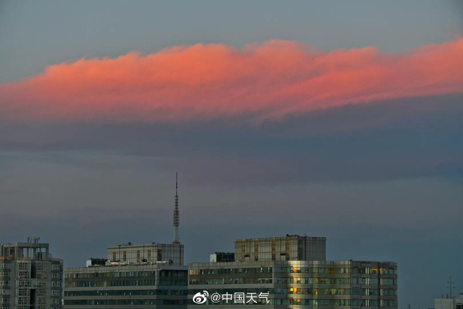 红云app安卓版客服红云浏览器安卓版红手指