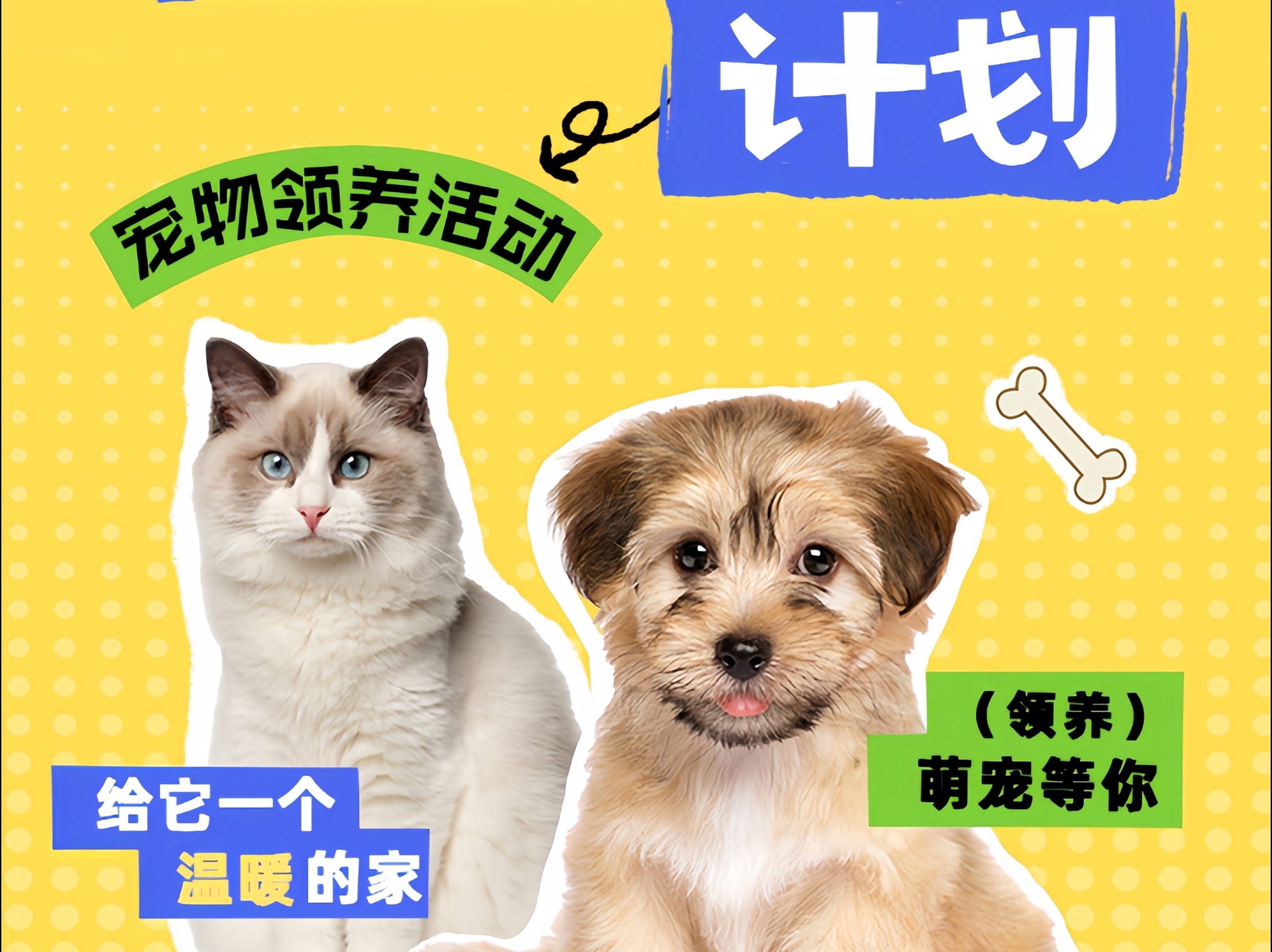 宠物网站手机客户端宠物用品一手货源批发市场