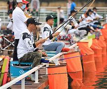 碧湖垂钓苹果版碧湖垂钓哪里下载